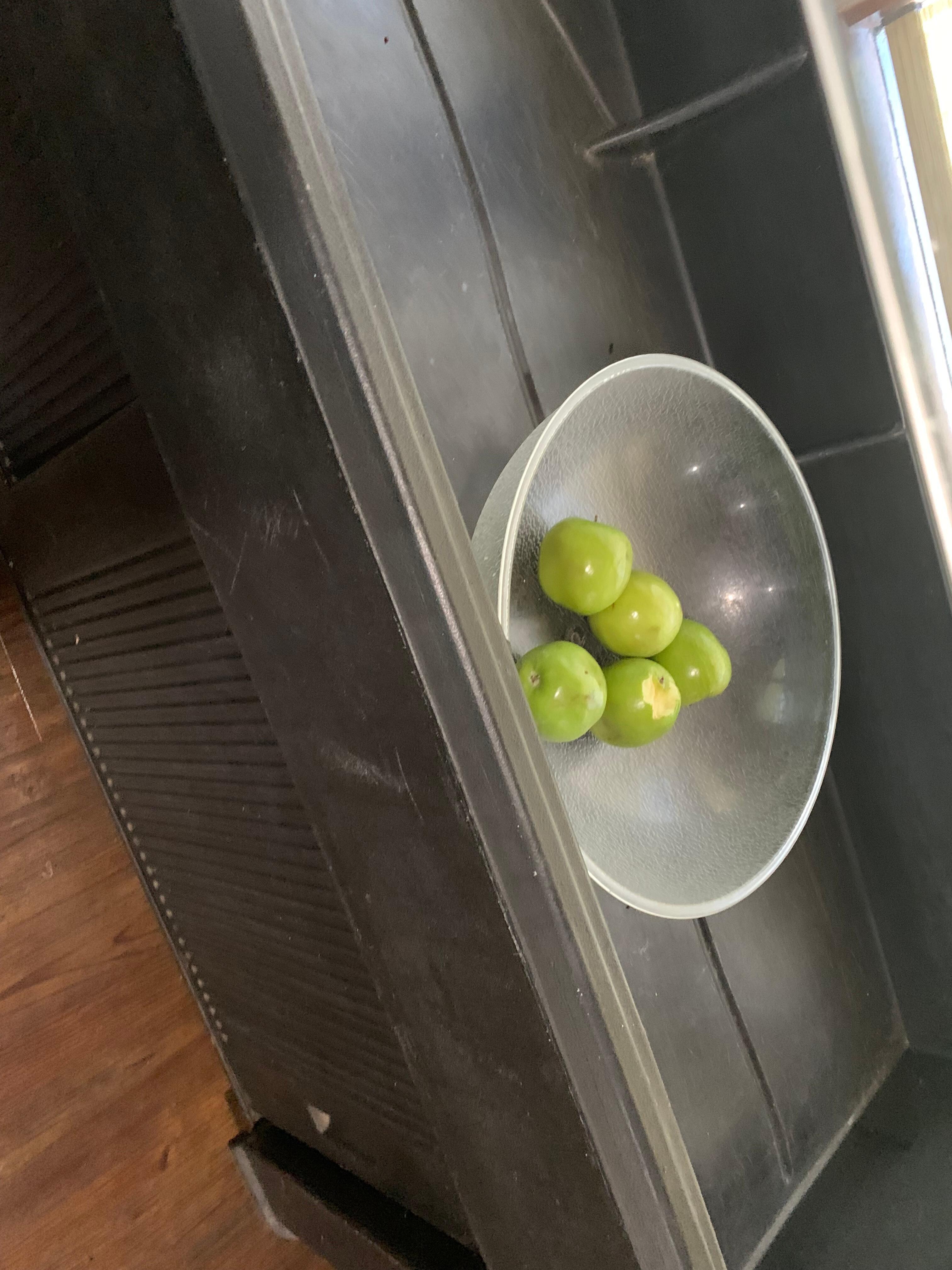 Mice snack left on the breakfast line