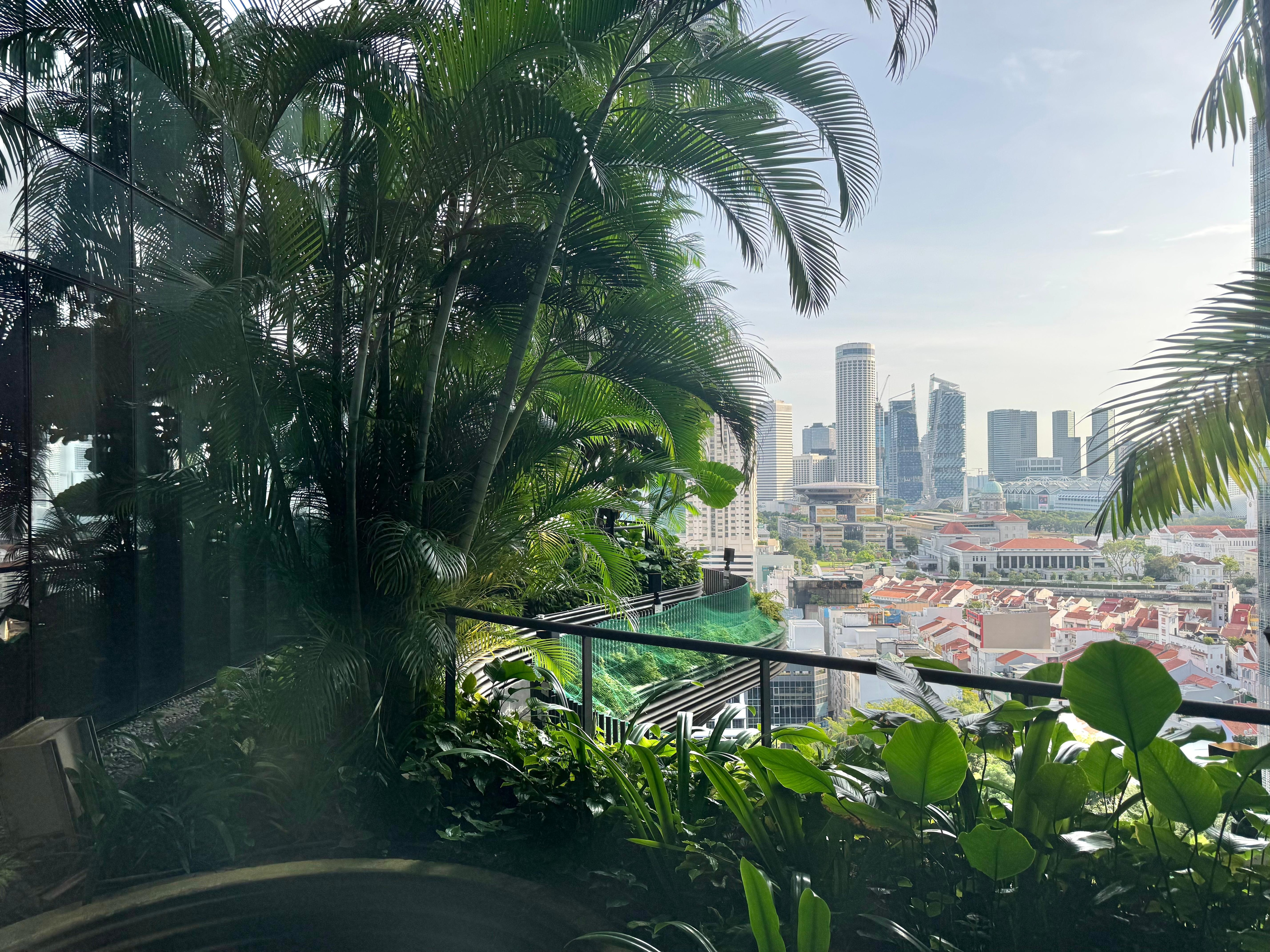 View outside my window