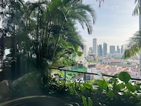 View outside my window