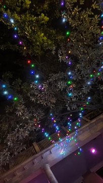 Lights outside at night ♥️