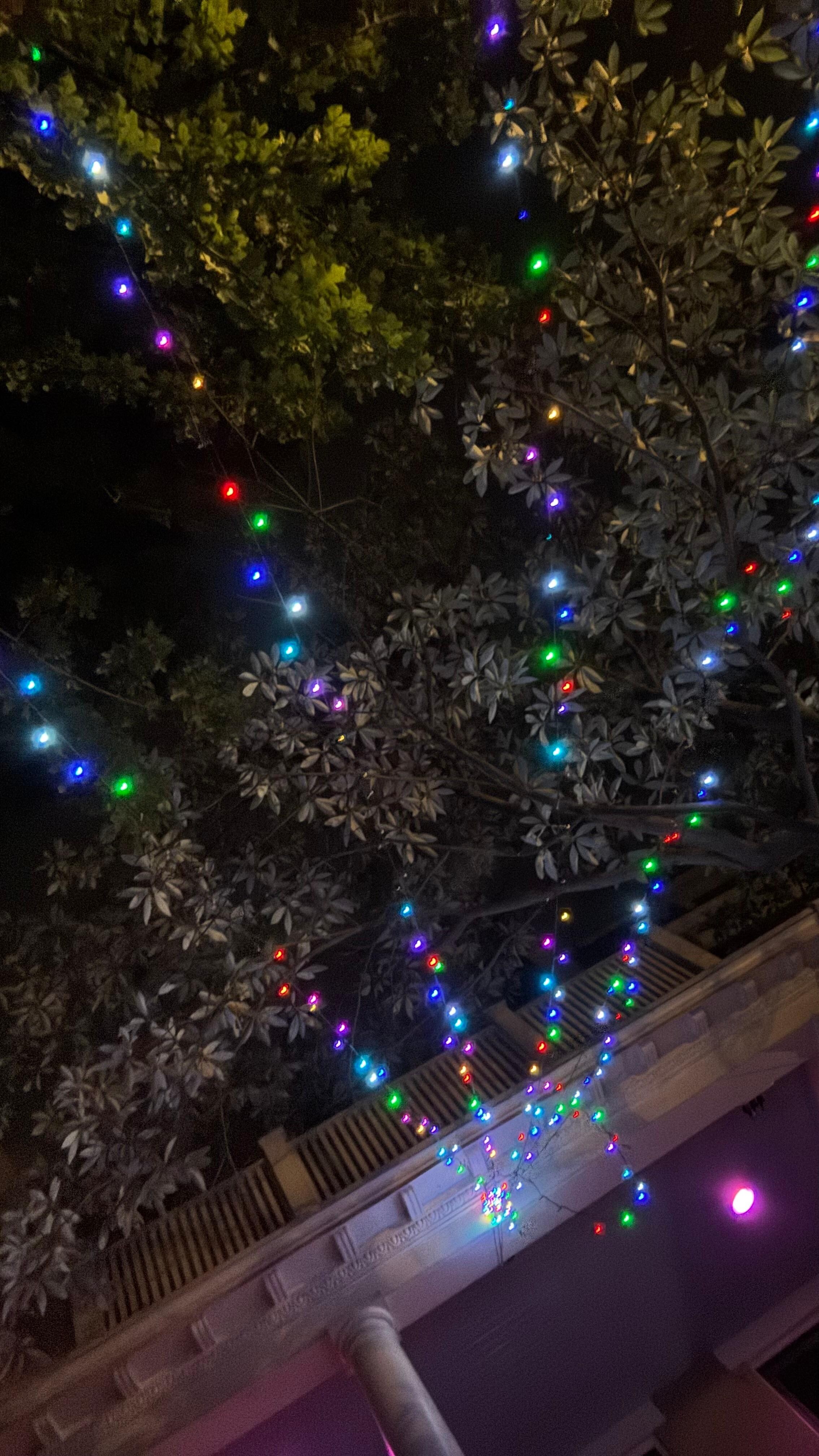 Lights outside at night ♥️