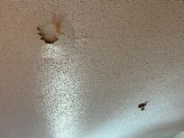 How does this even happen?