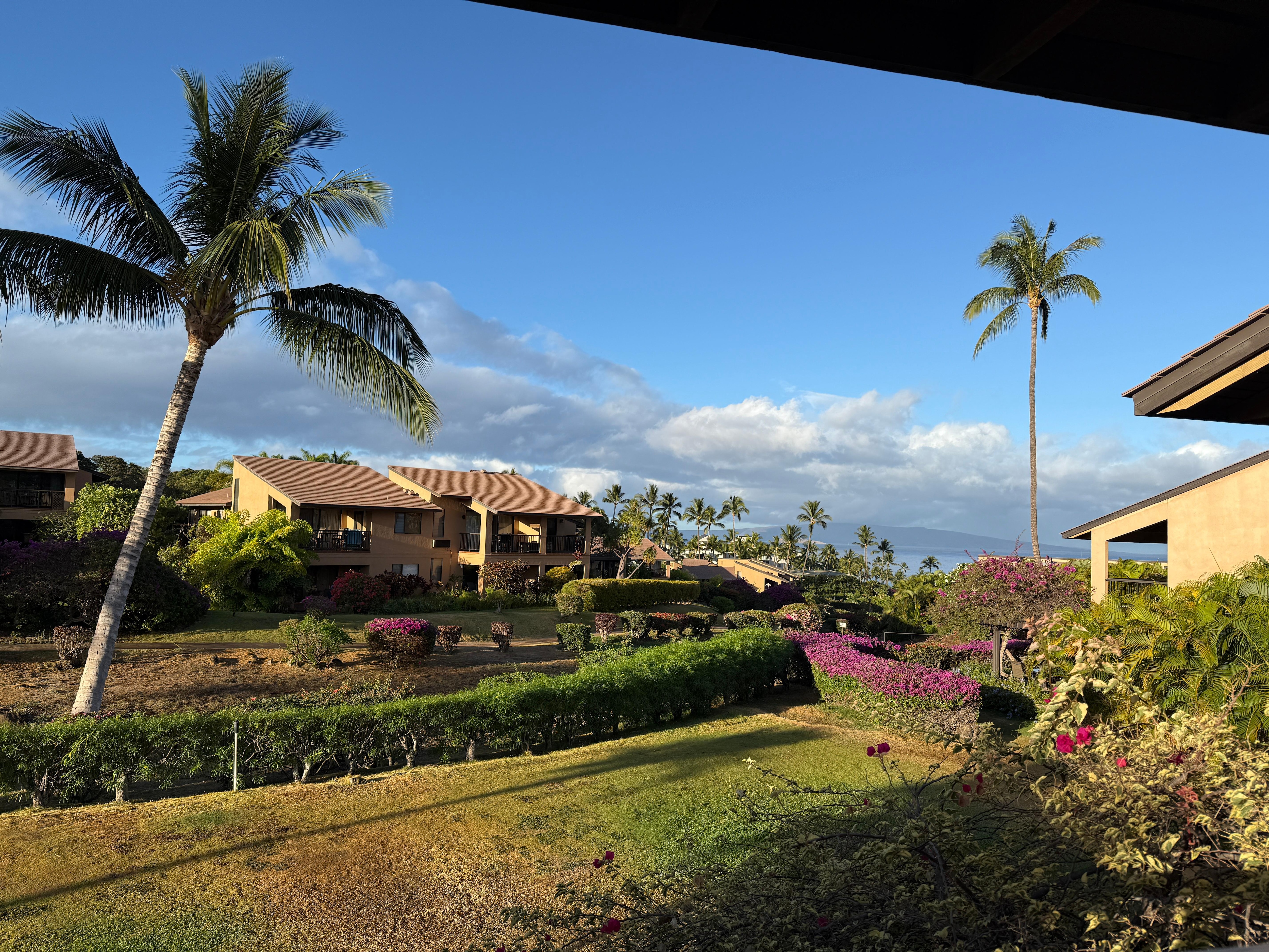 View from the lanai