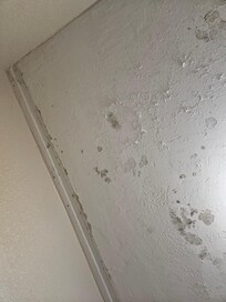 Moldy ceiling