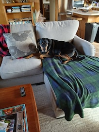 Love that this home is dog friendly.