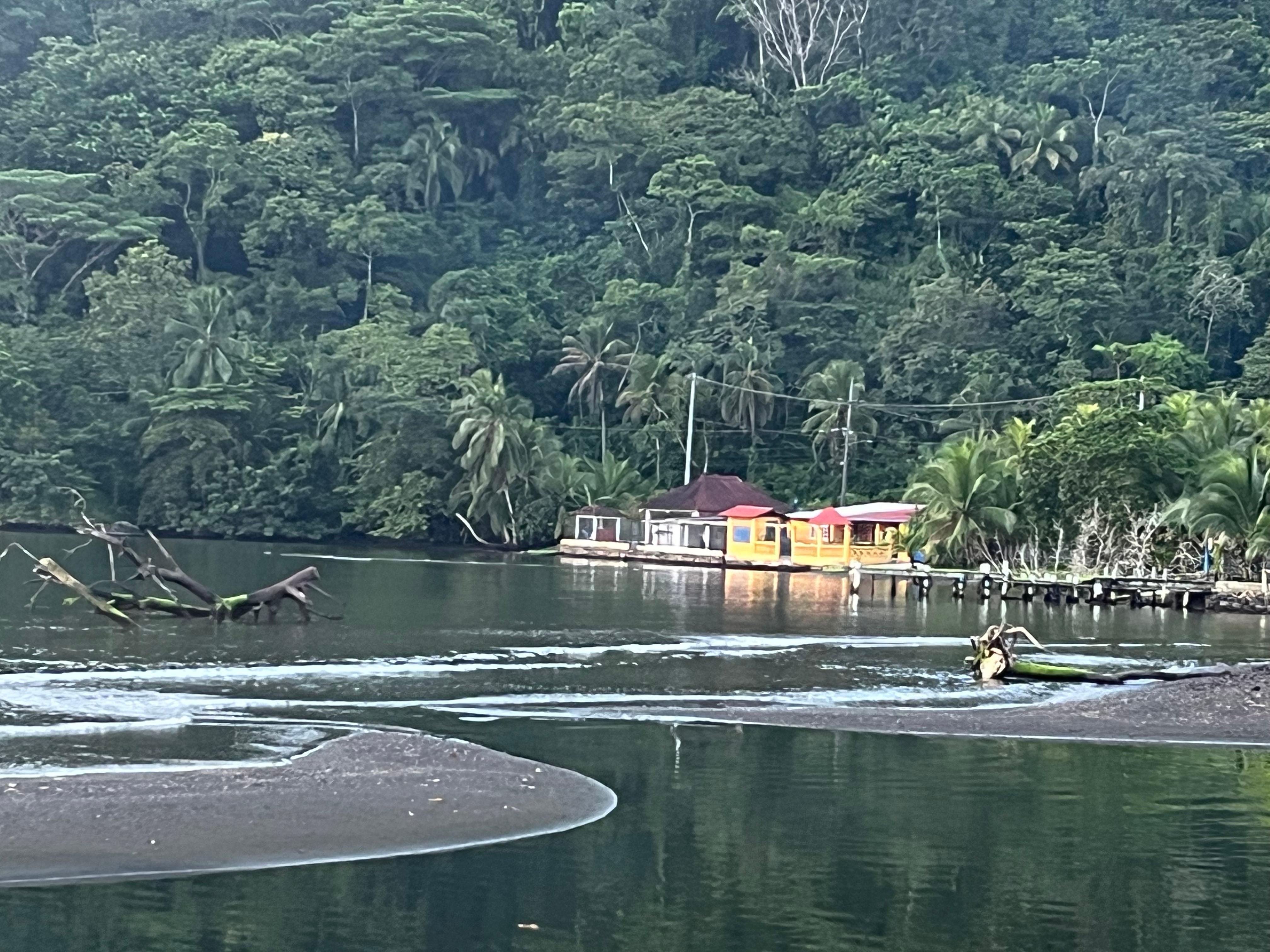 Neighbors from the back porch