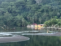 Neighbors from the back porch