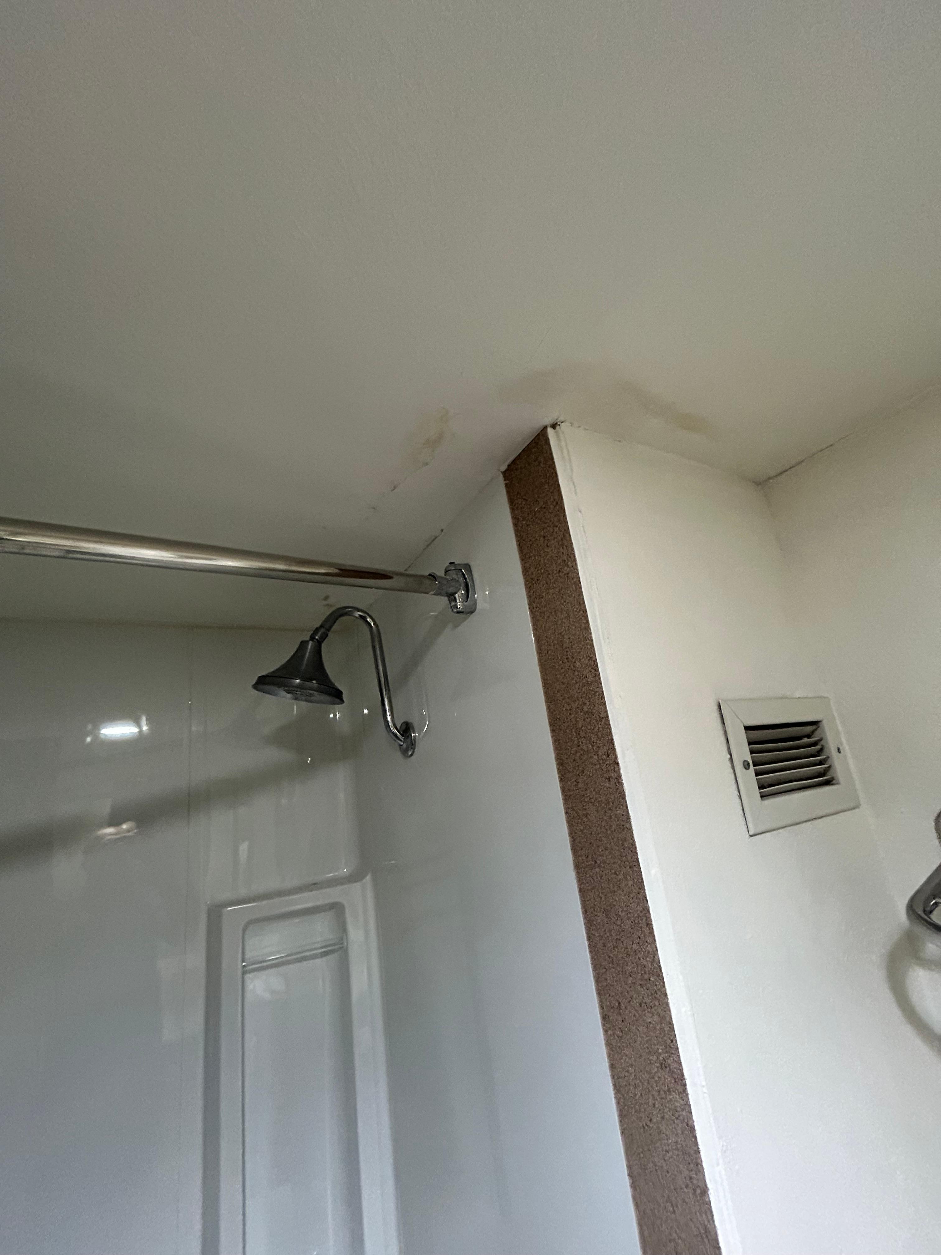Mold in the walls