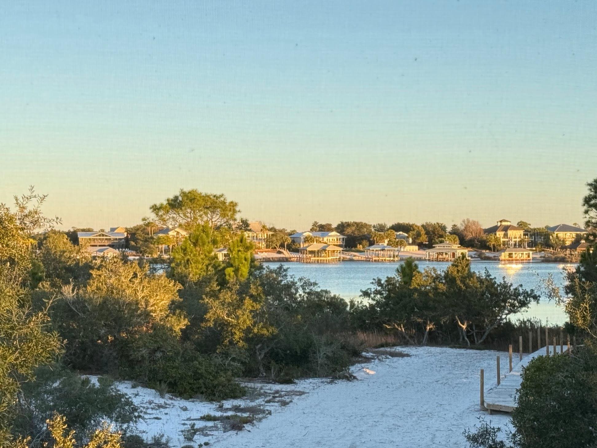 View from Living Room