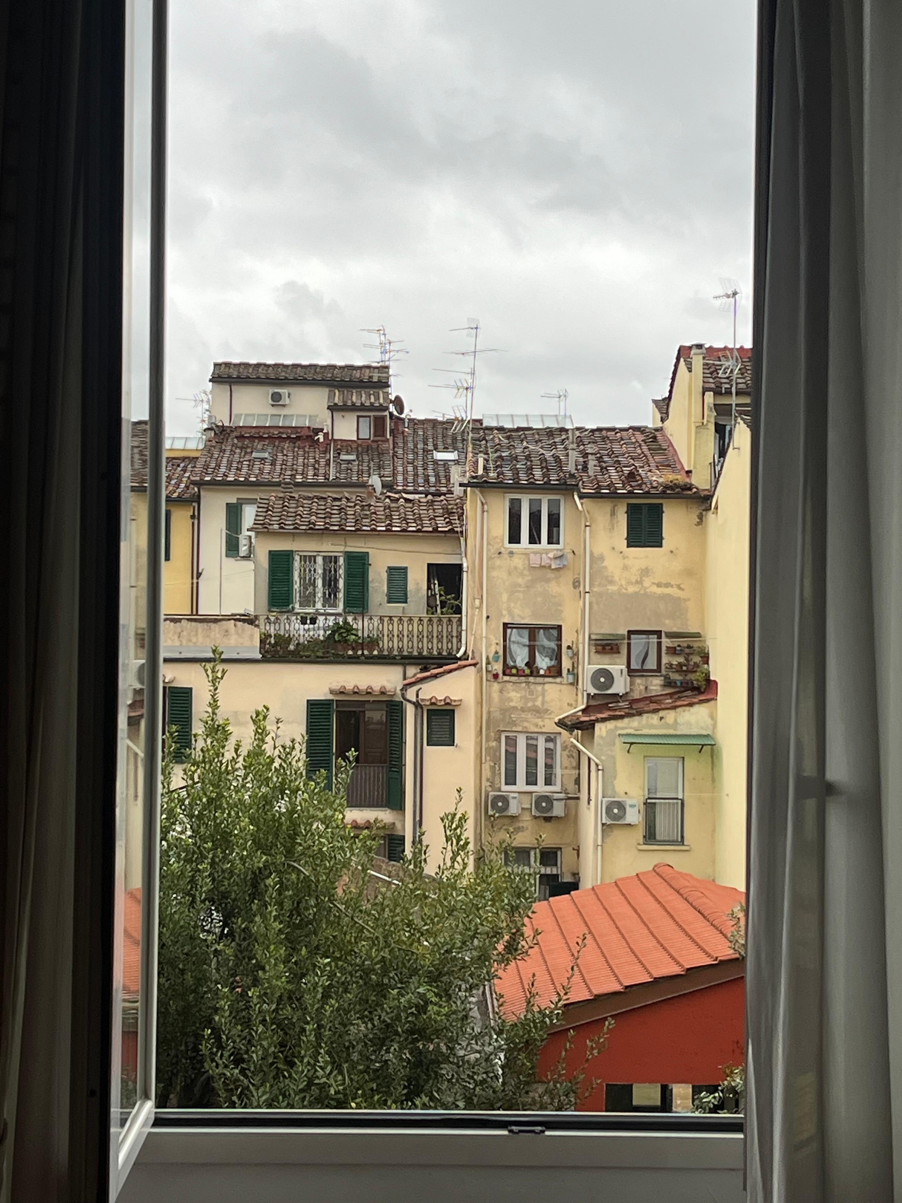 View from my window 