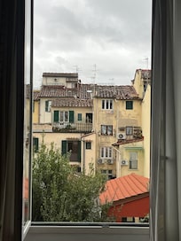 View from my window