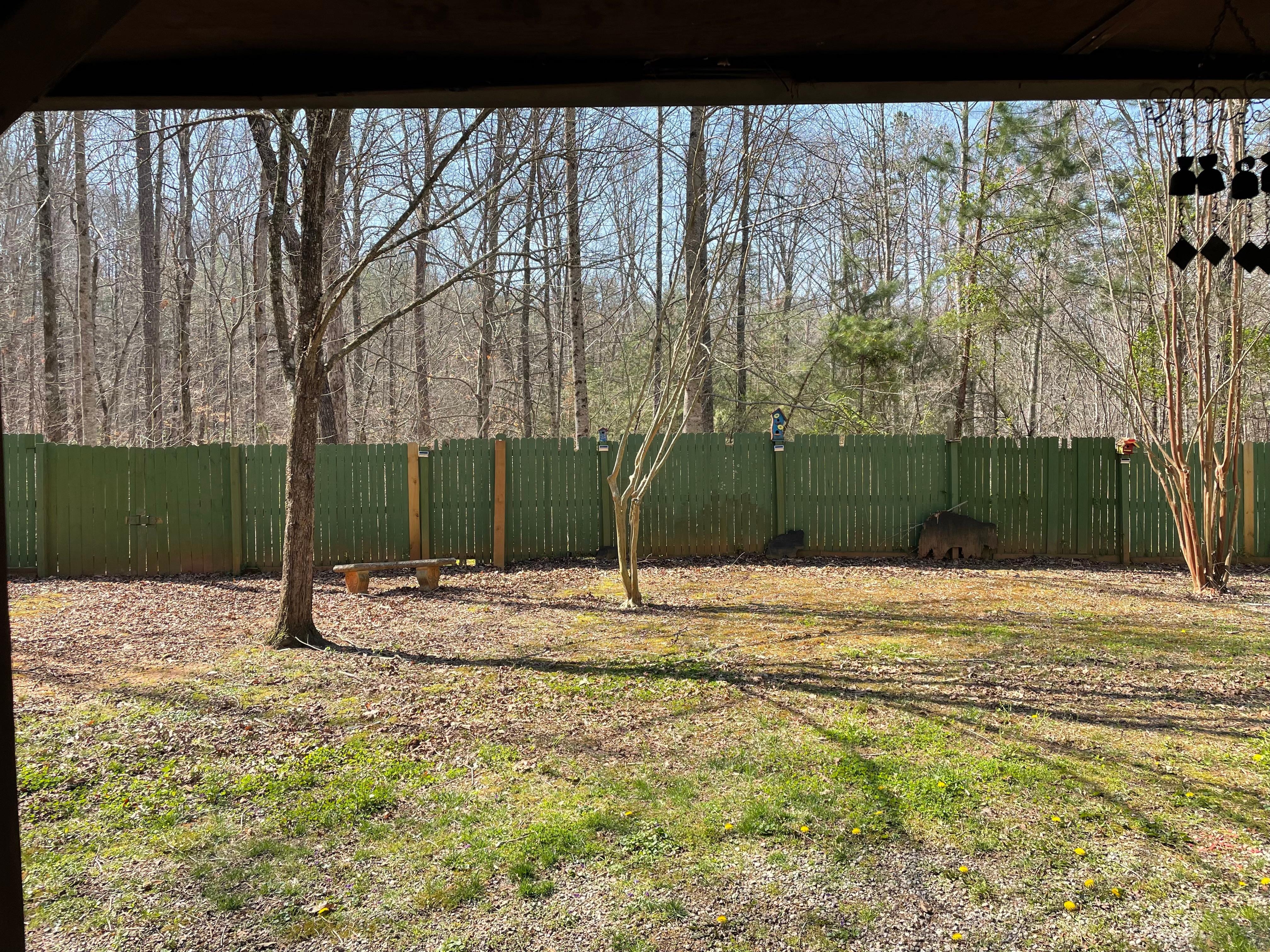 Backyard view (this is what you see from the hot tub)