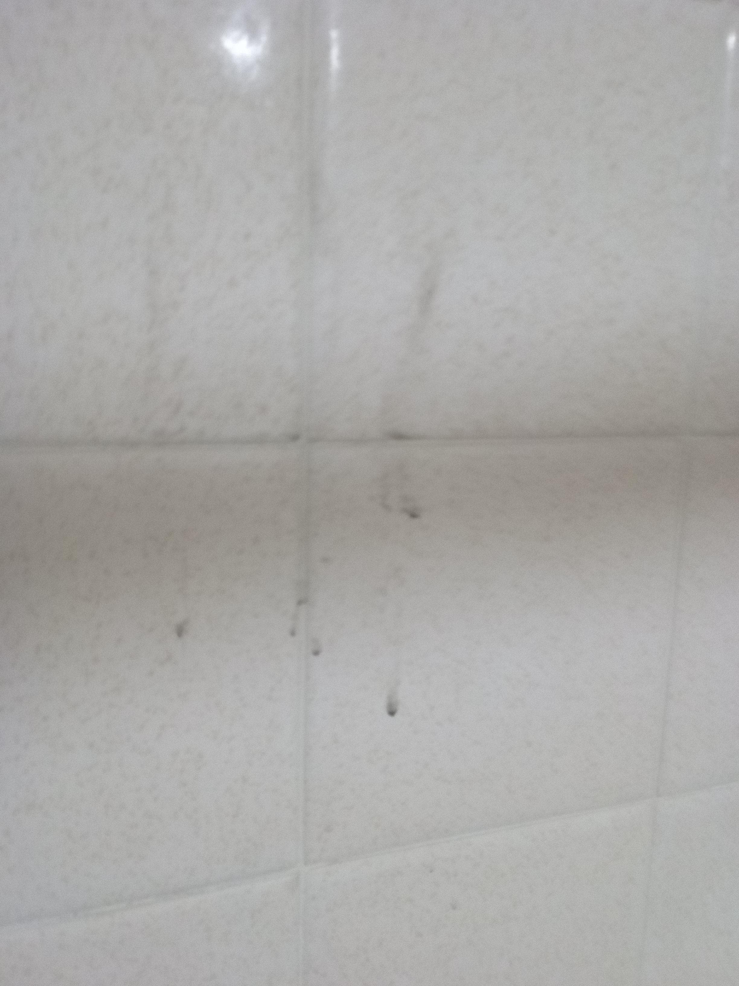 Dirt stain on shower wall