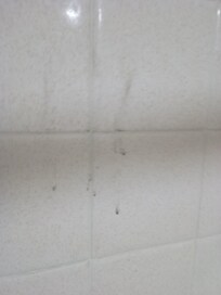 Dirt stain on shower wall