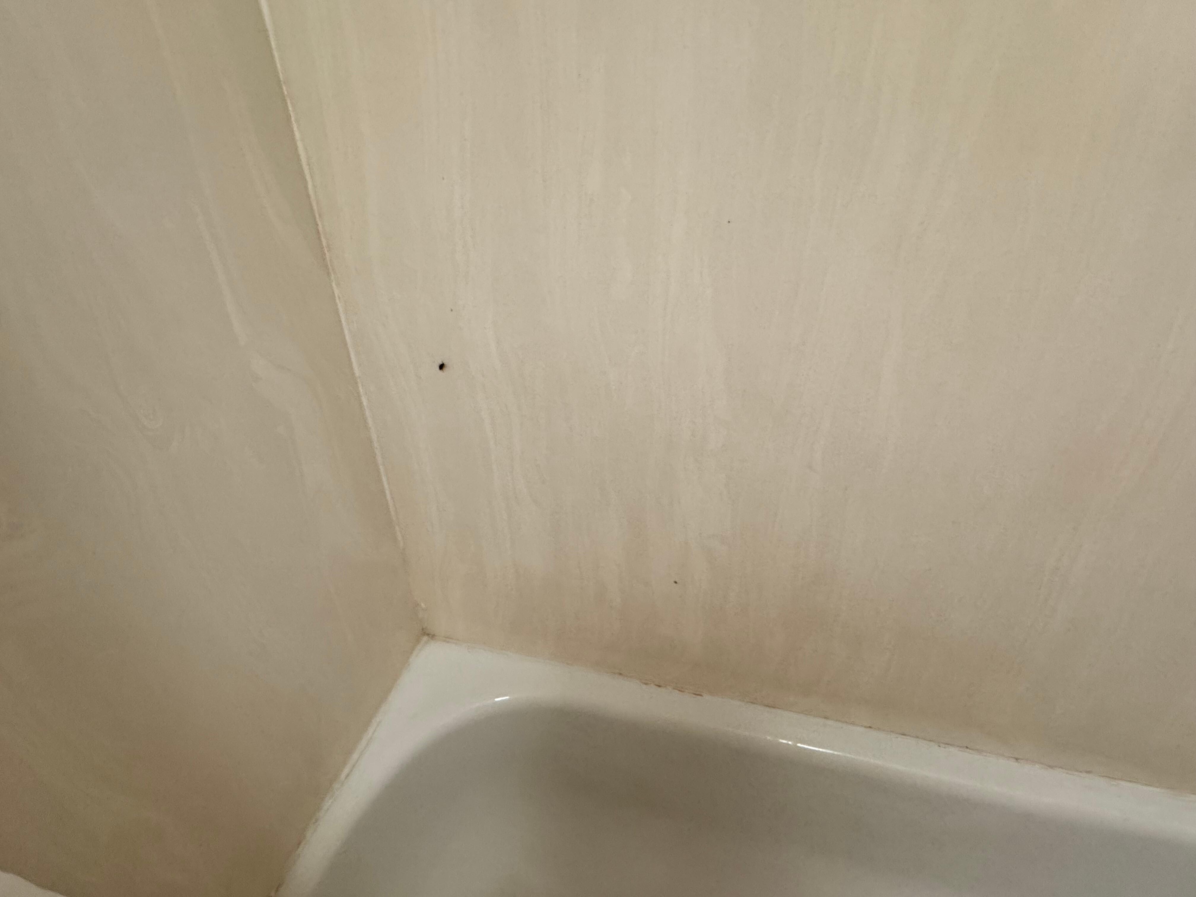 More roaches