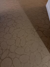 Stains on room carpet- a few of many on a very worn and dirty carpet