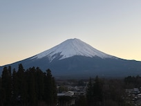 View from roof viewing platform.