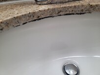 Black mold in the sink
