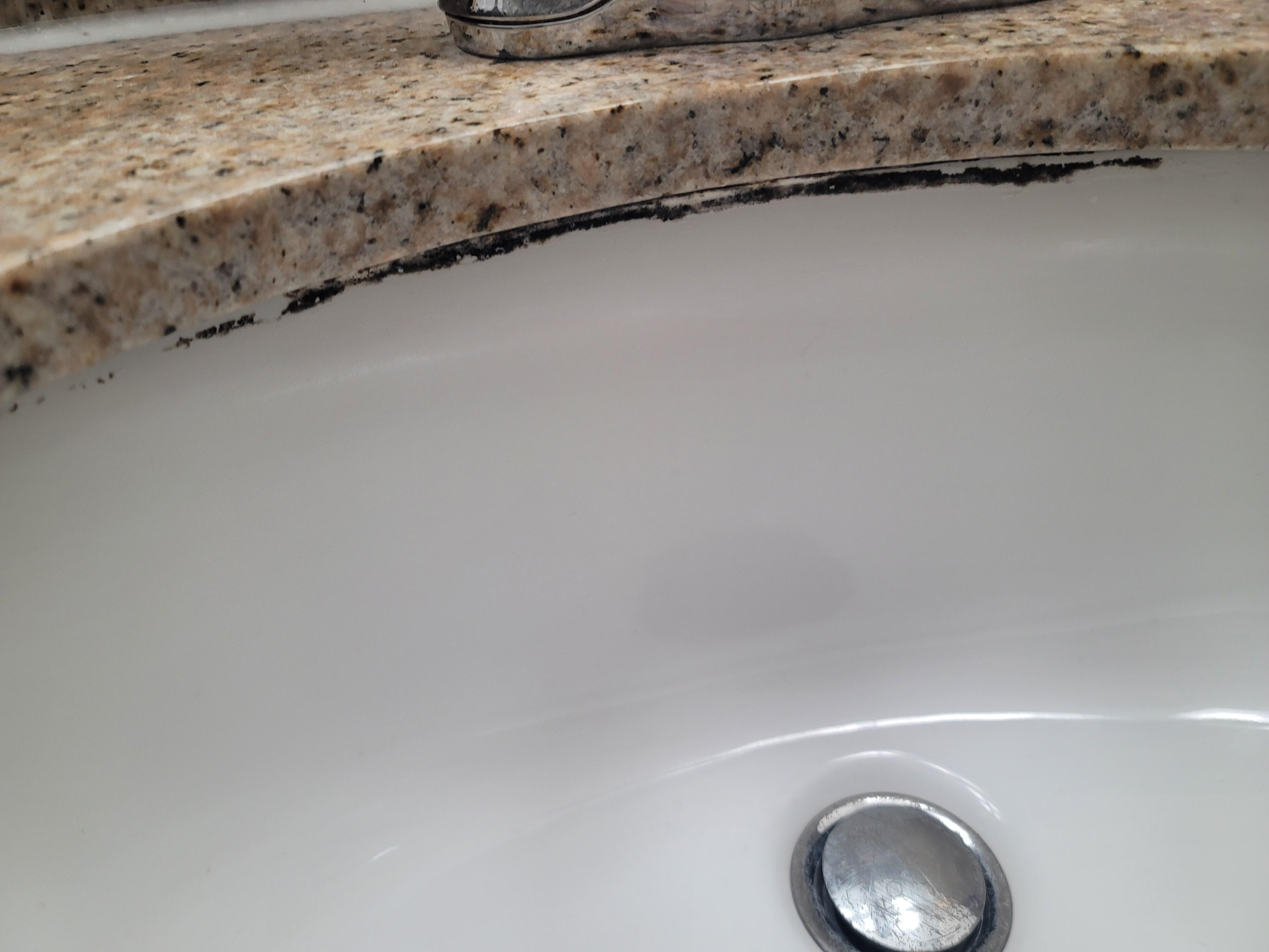 Black mold in the sink