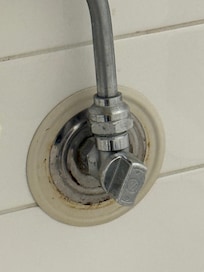 moldy shut off valve area