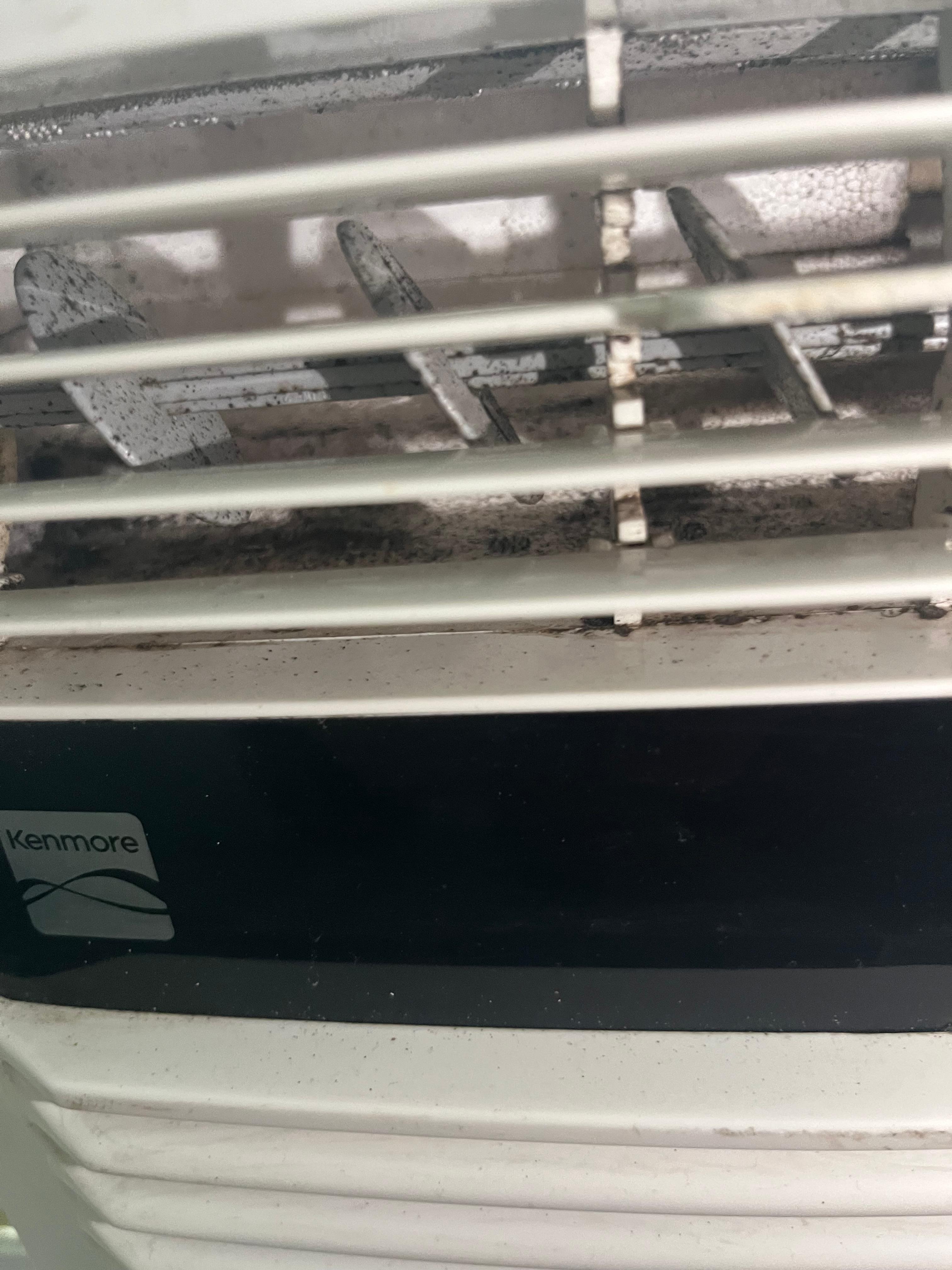 Mold in one of the ac units; we could see mold in five of six units 