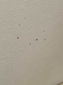 The wall behind the bathroom door