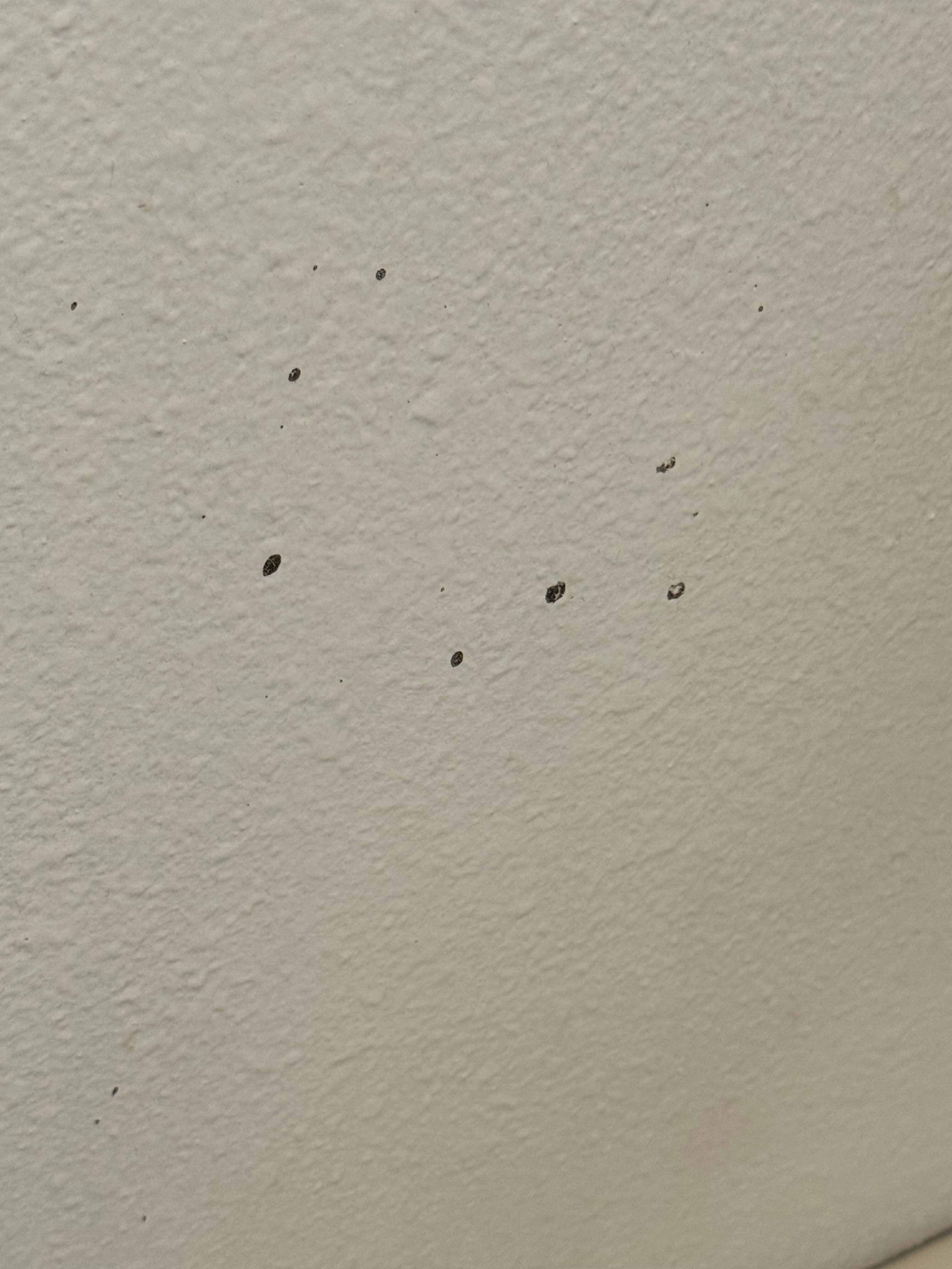 The wall behind the  bathroom door 