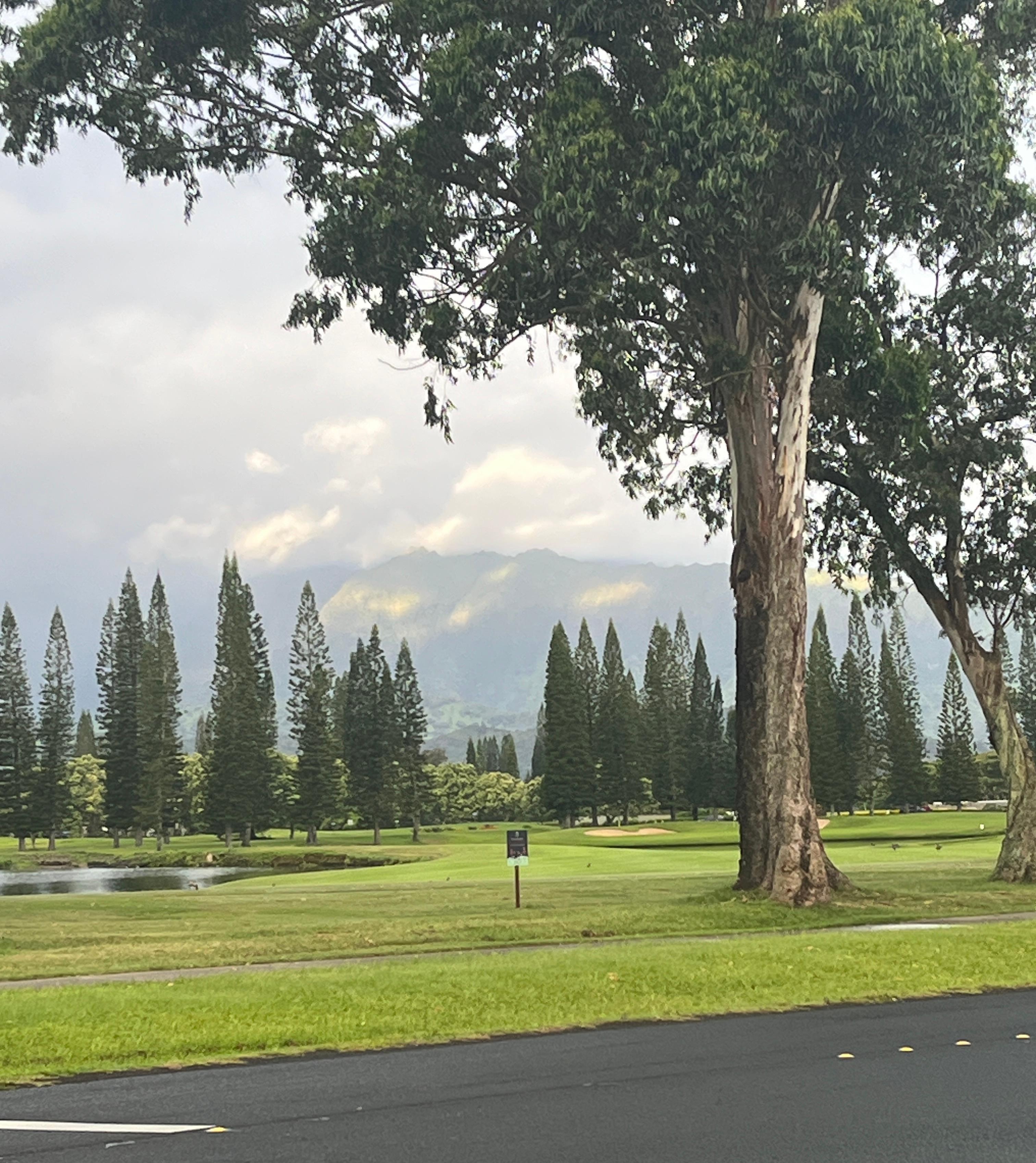 View from walking path 