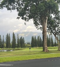 View from walking path