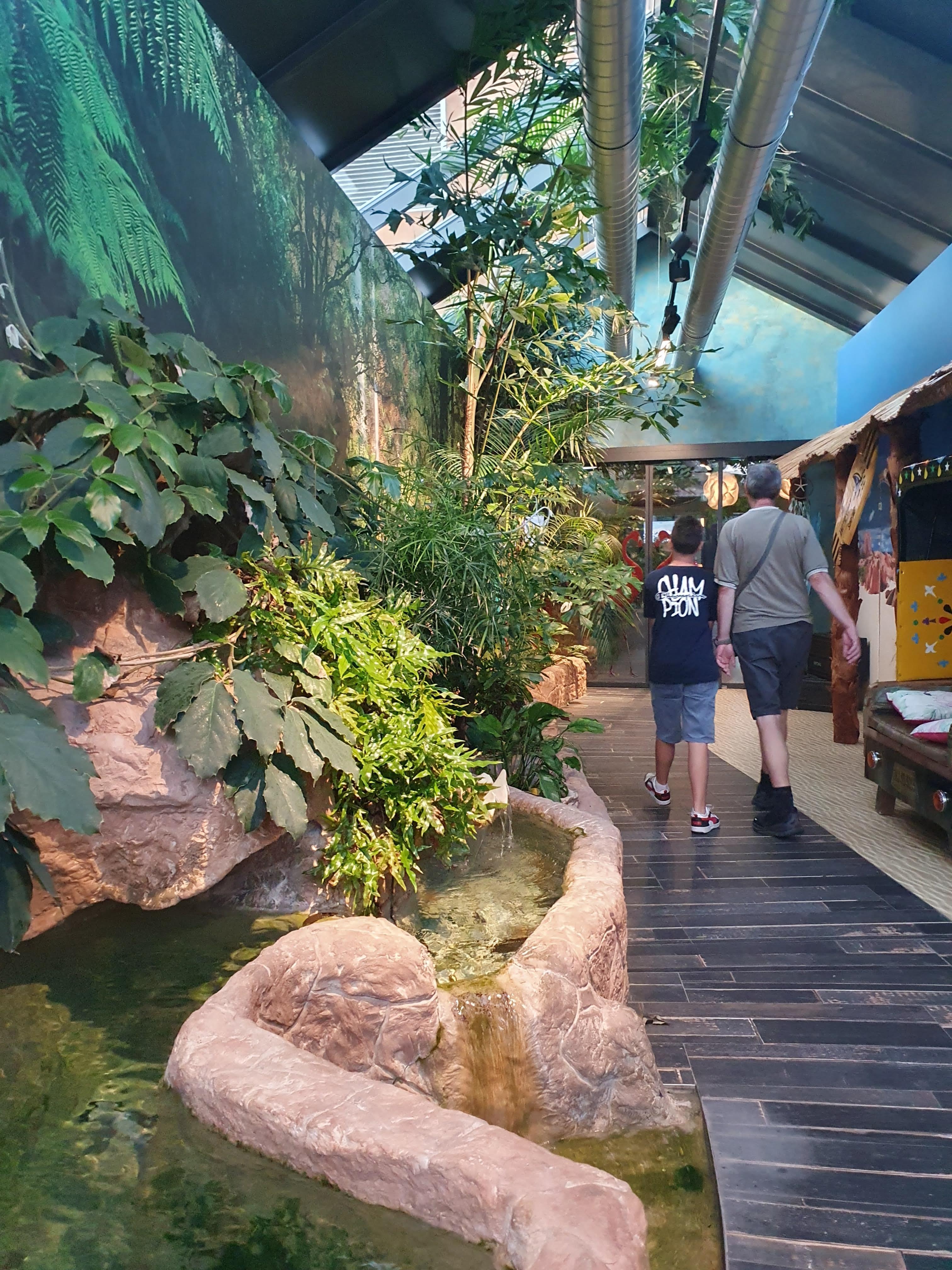 ingresso tropicale al Pink Flamingo
Pizzeria