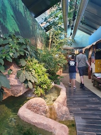 ingresso tropicale al Pink Flamingo
Pizzeria