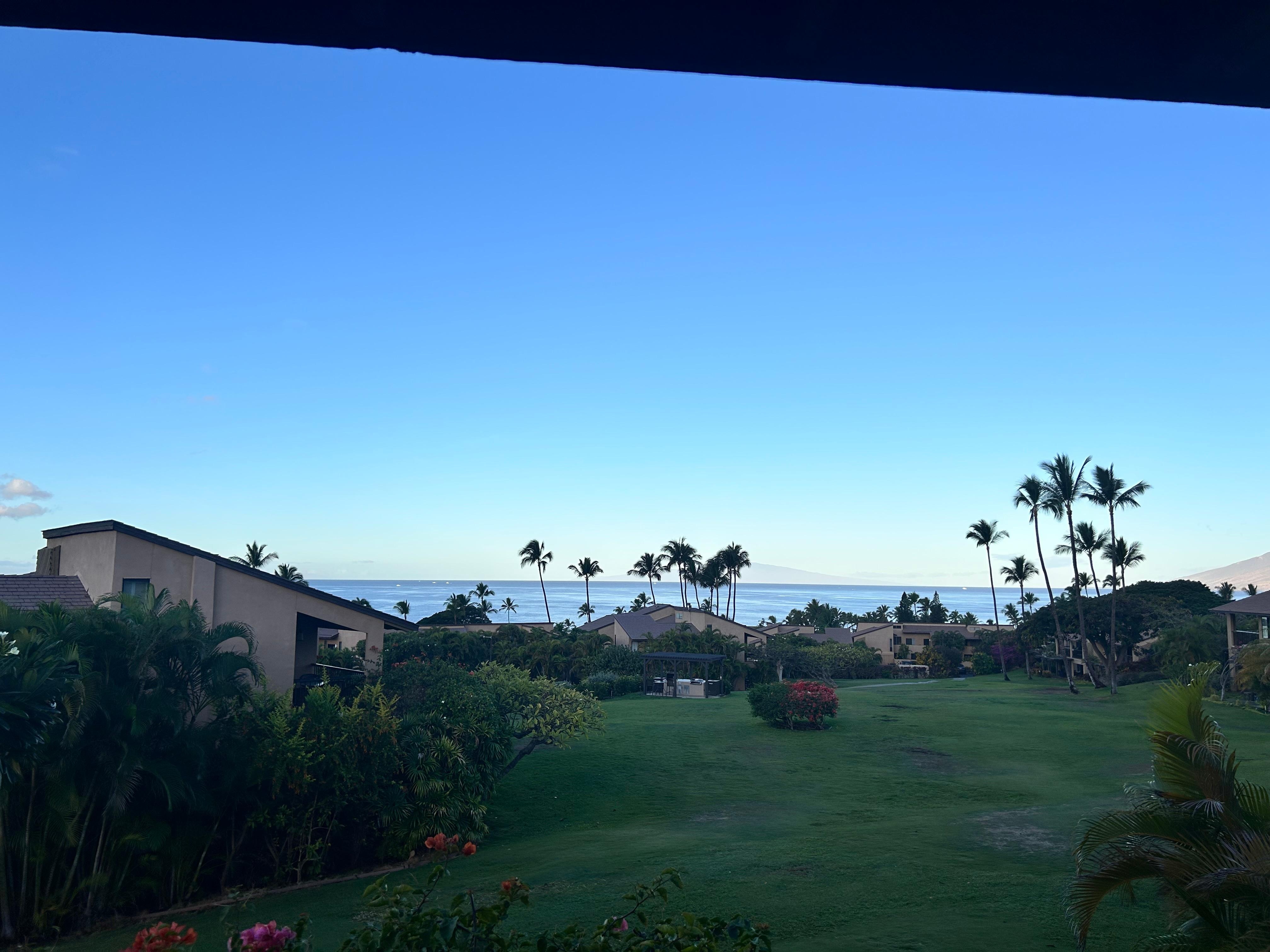 View From the balcony