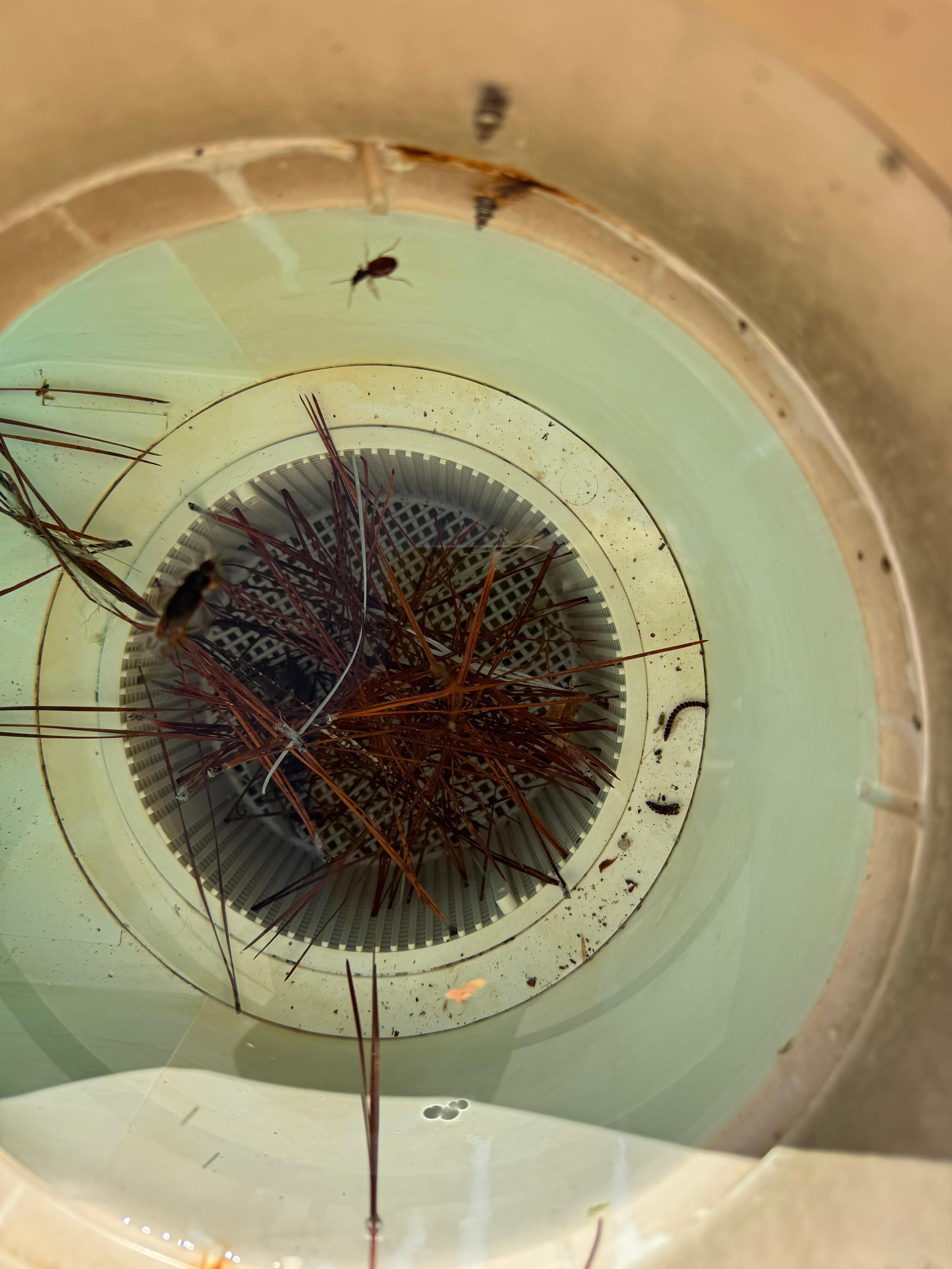 2nd basket never cleaned