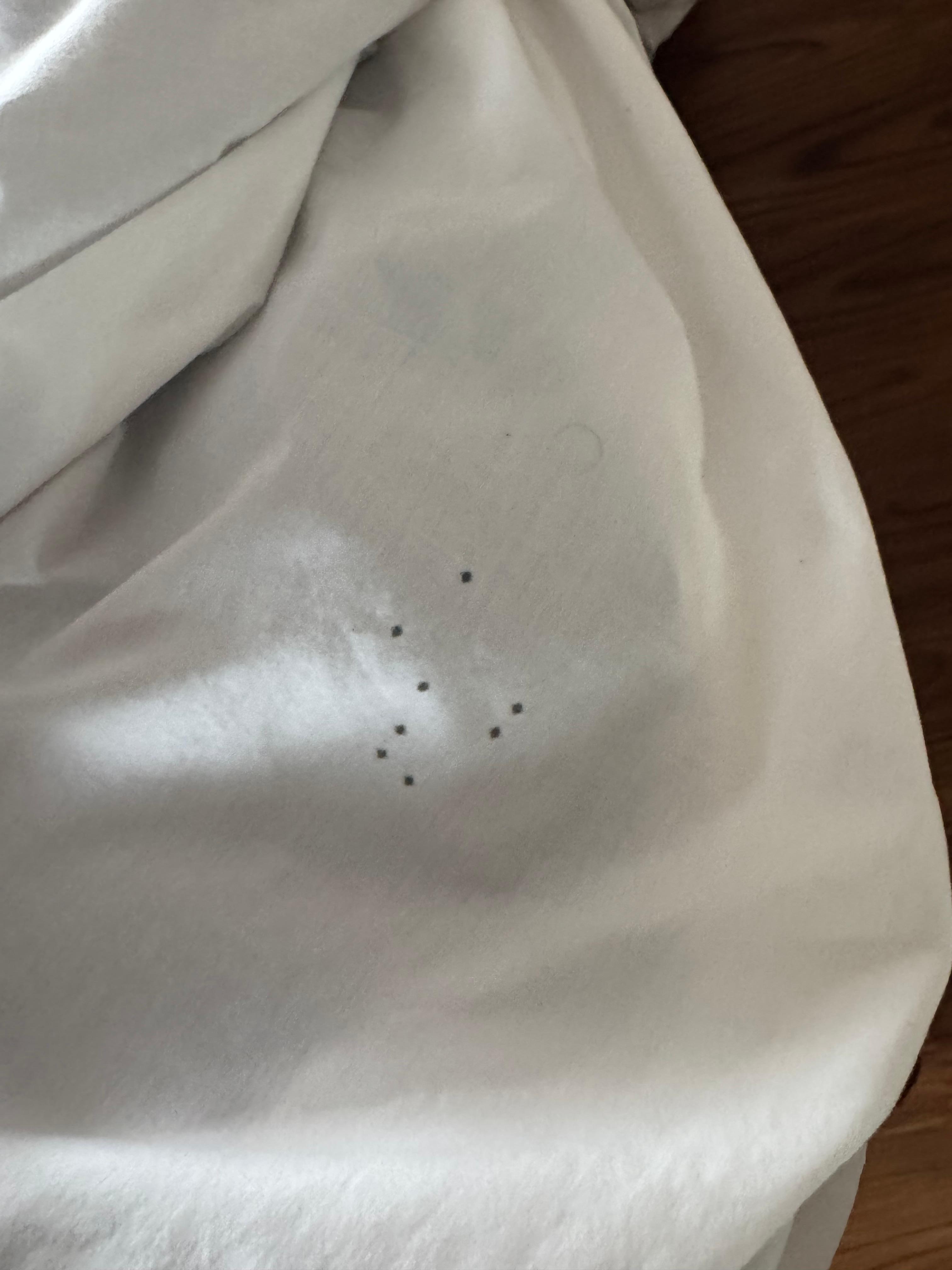 Bed bug stains 