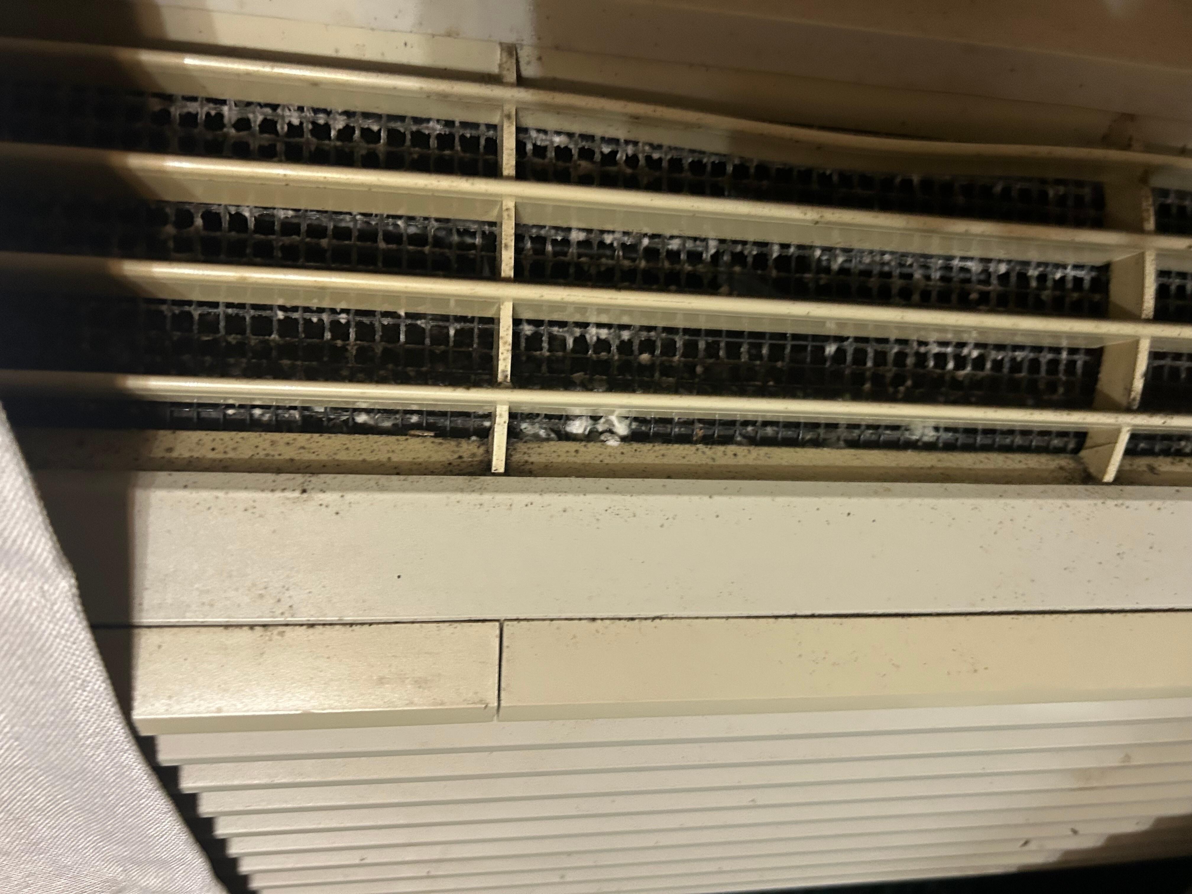 Moldy looking air conditioner