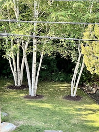 View from our terrace