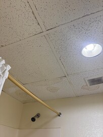 Moldy/stained ceiling tiles