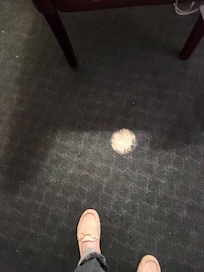 There were notices about holding deposit for damages however there were several existing issues that could have been addressed, carpeting is just one