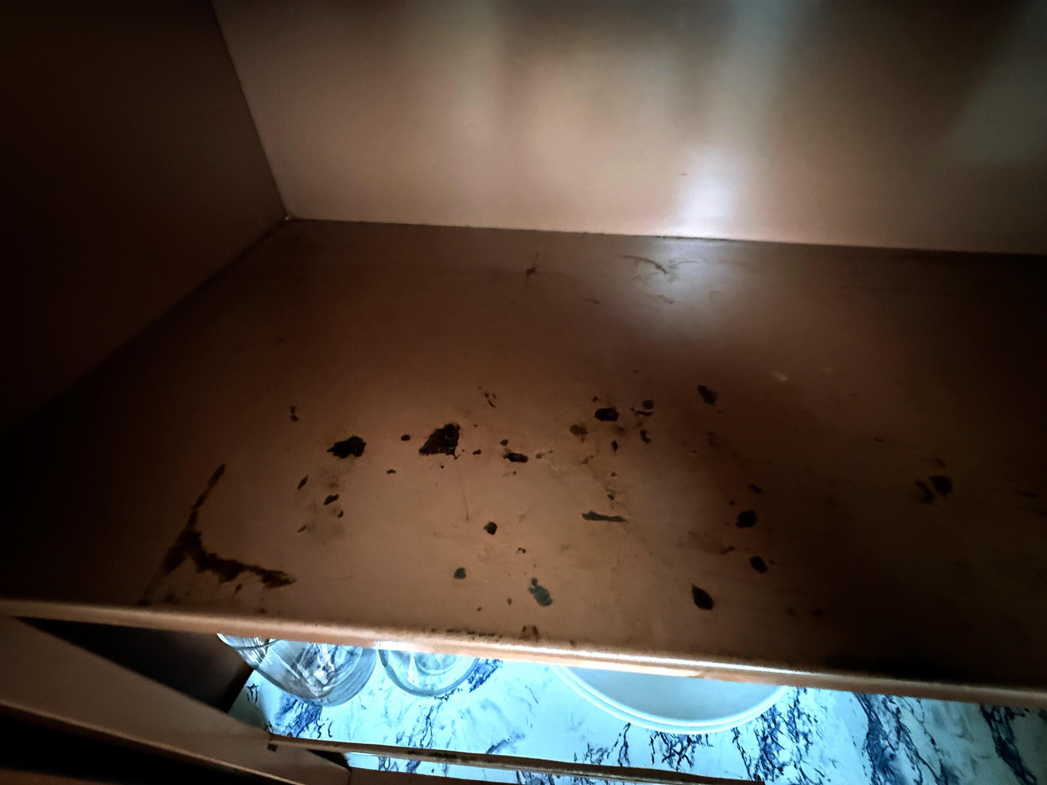 Here’s an example of exactly how the oven looked when we got there
