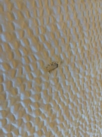 Bedspread with cigarette burns