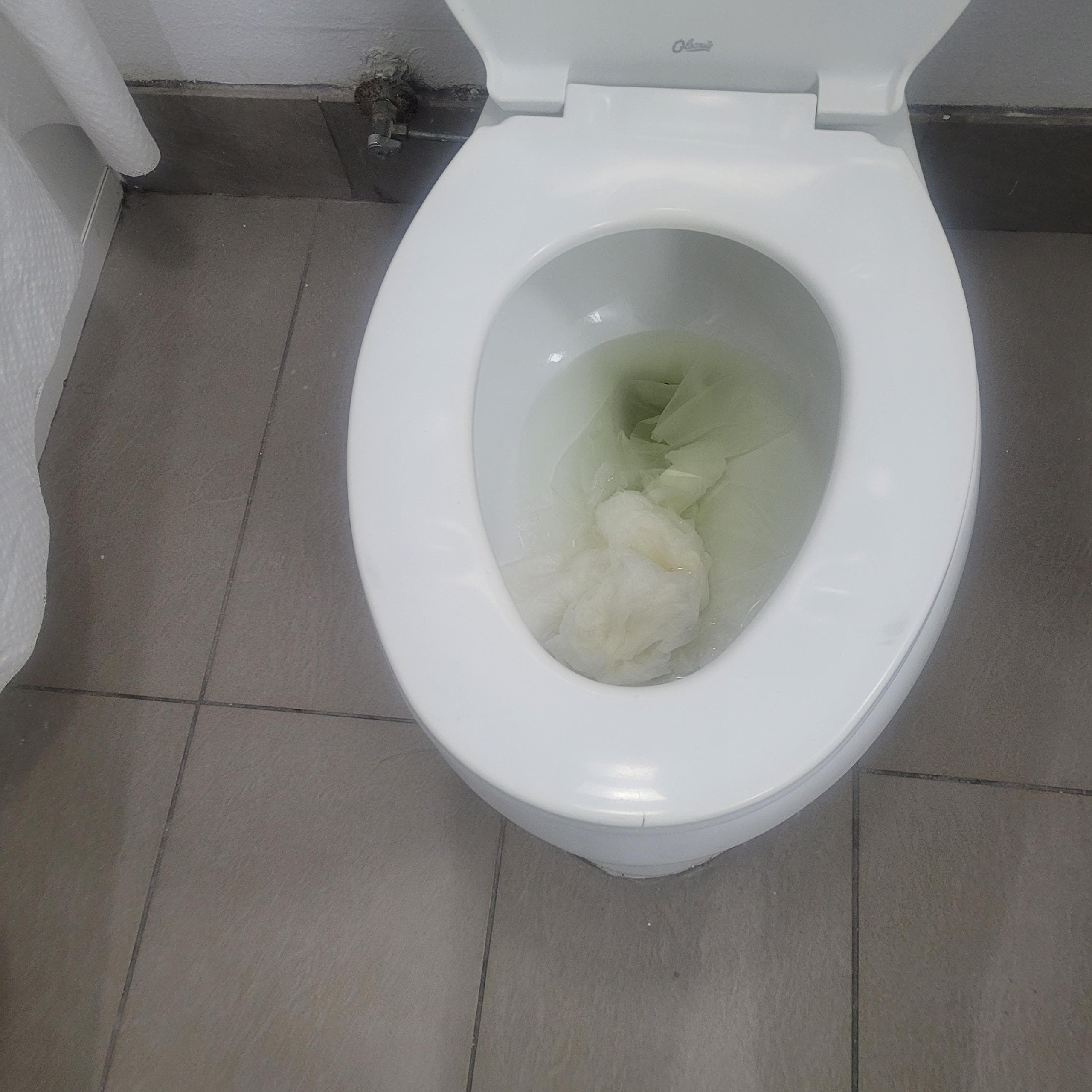 The toilet was backed up and wouldn’t flush.