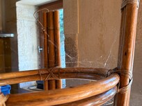 Toiles d’araignée