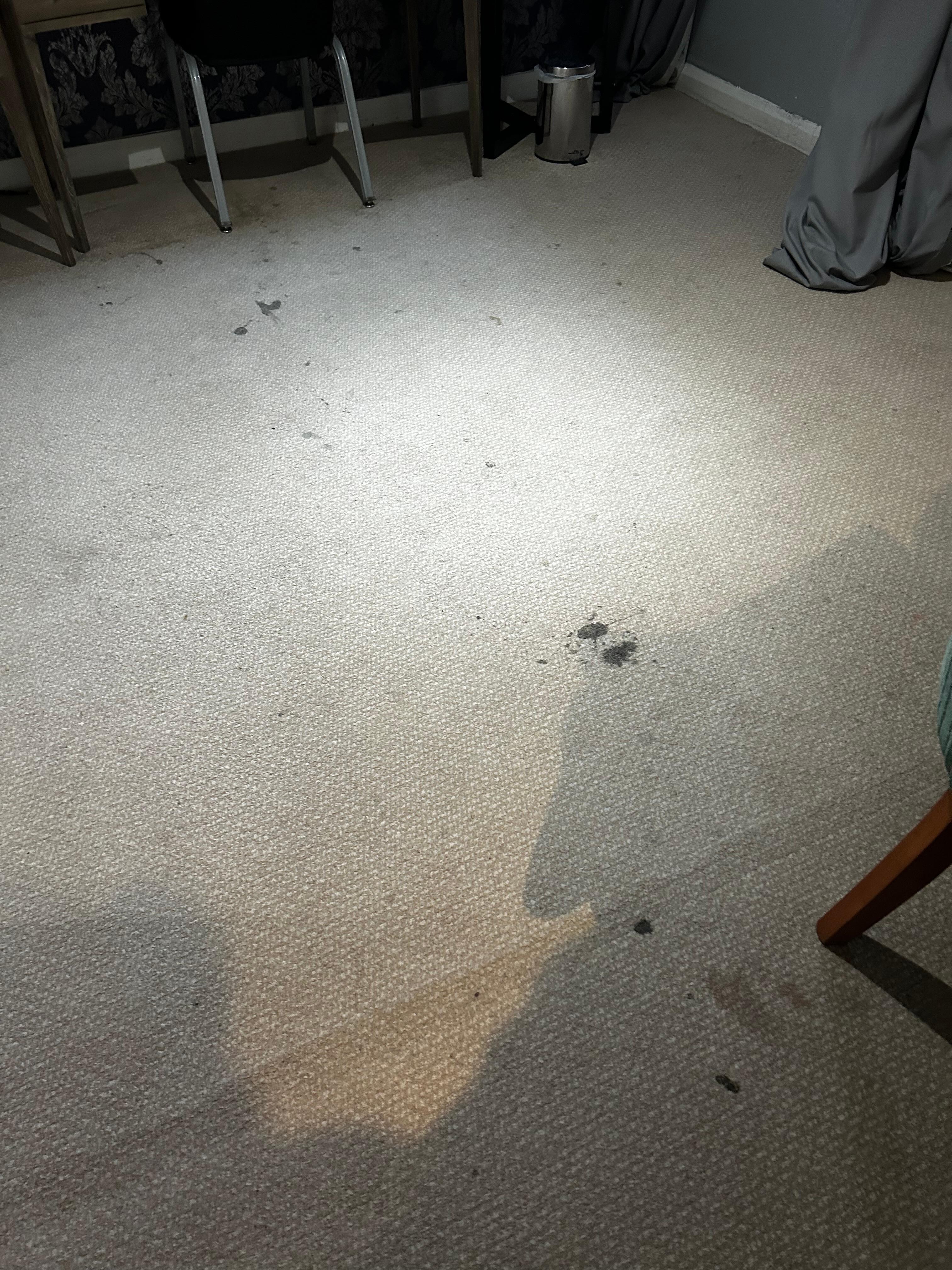 Carpet in the bedroom 