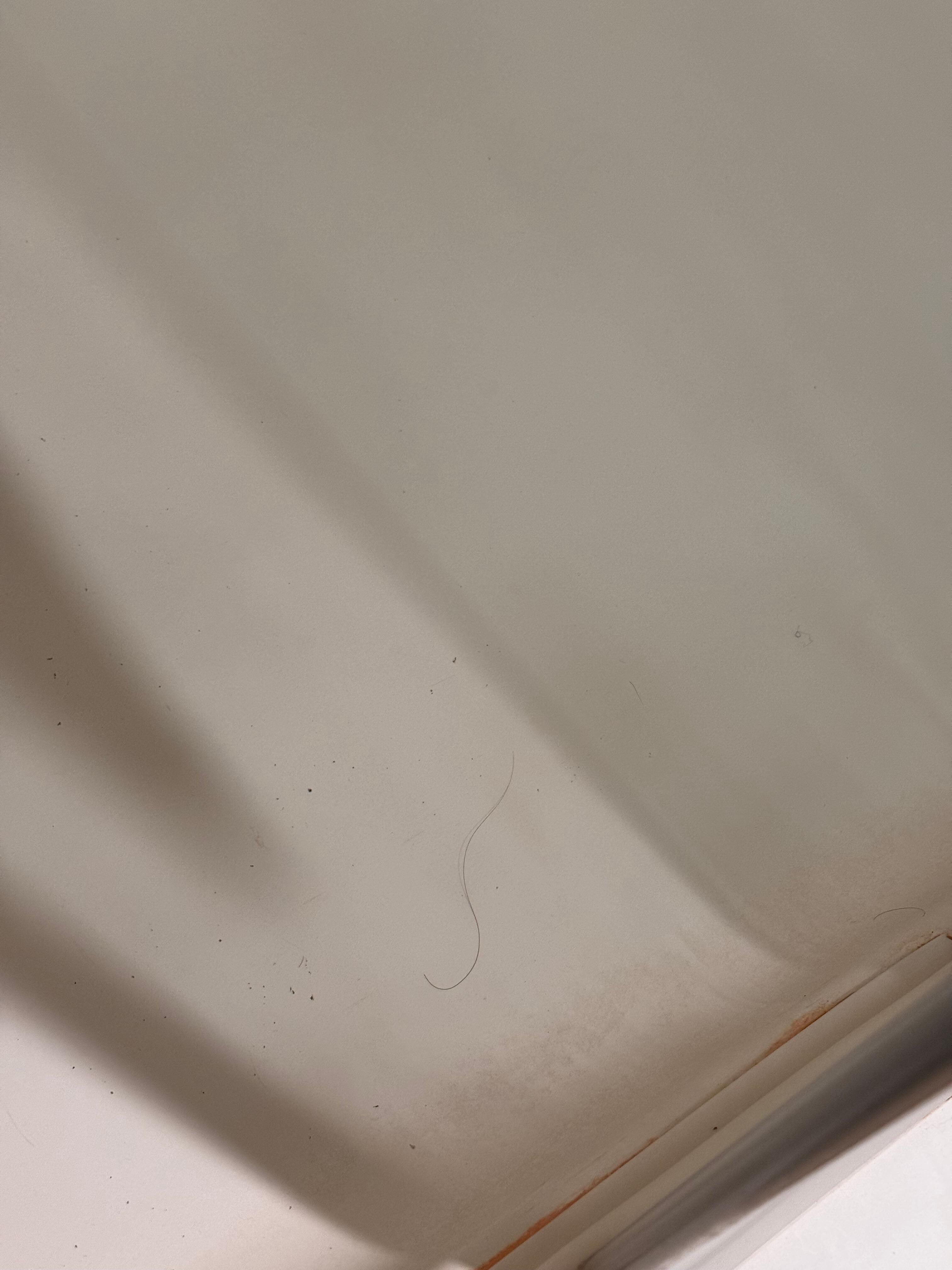 Hair in shower
