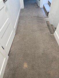 Bleach stained carpets