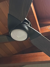 Cobwebs on ceiling fan in king bedroom