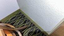 Dirty carpets