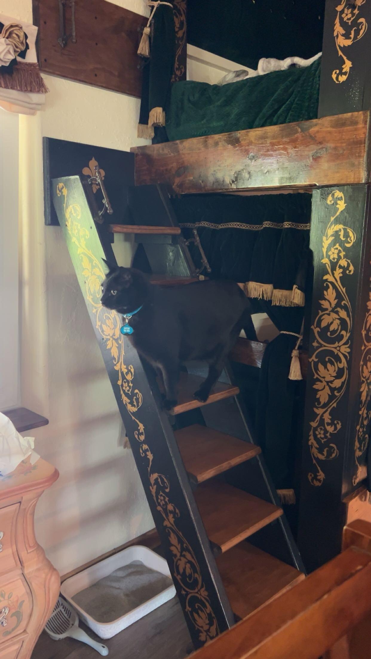 Immediately to the left inside living room
Is a bunk bed.