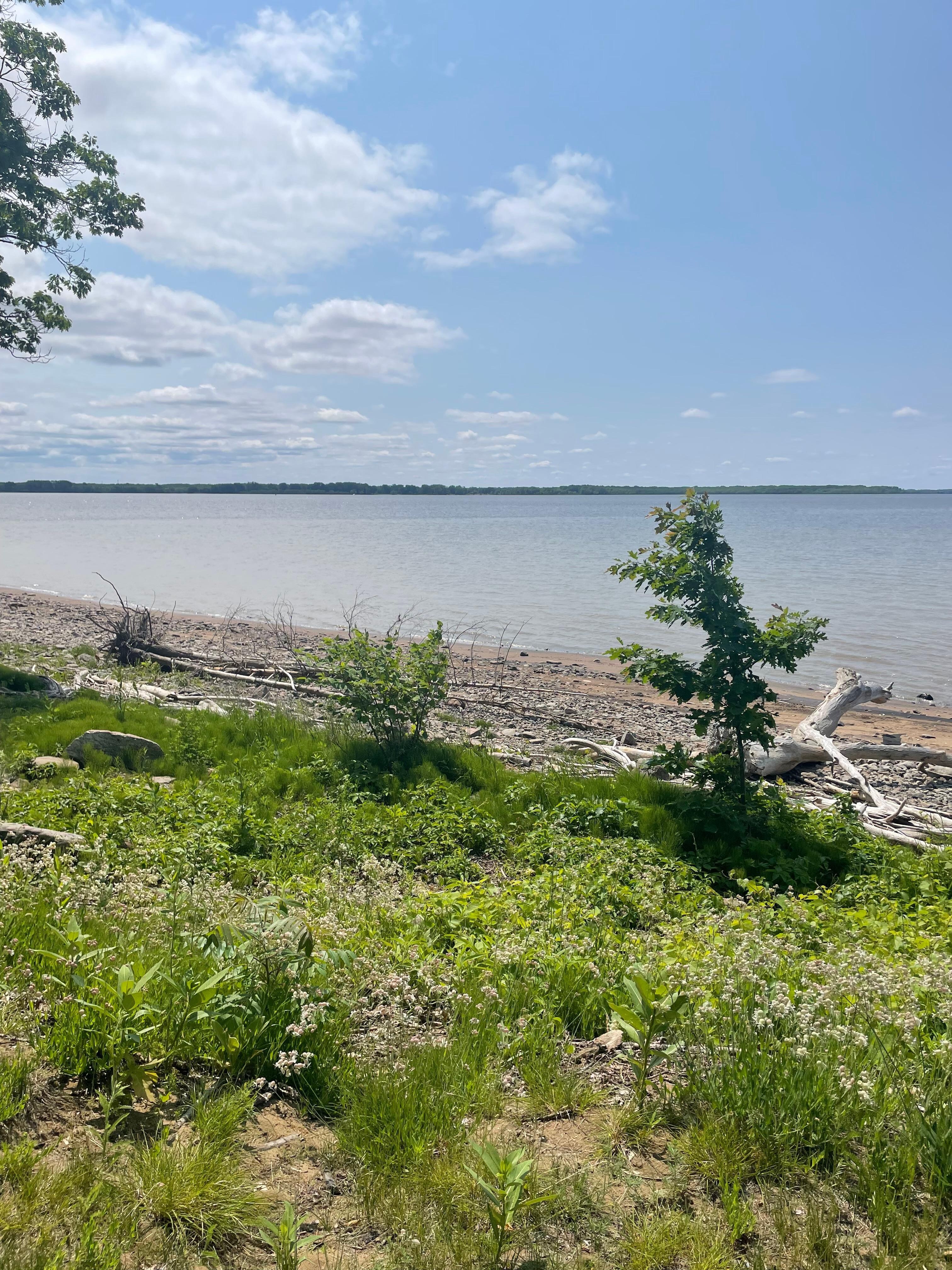 View of Lac St Pierre