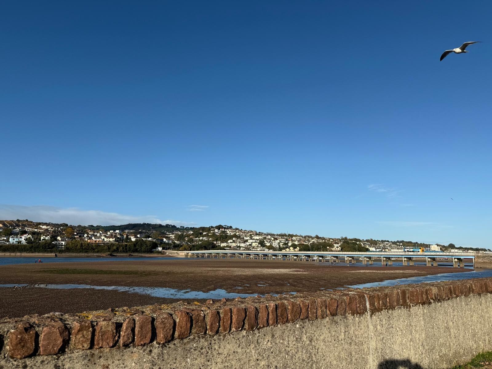 Shaldon